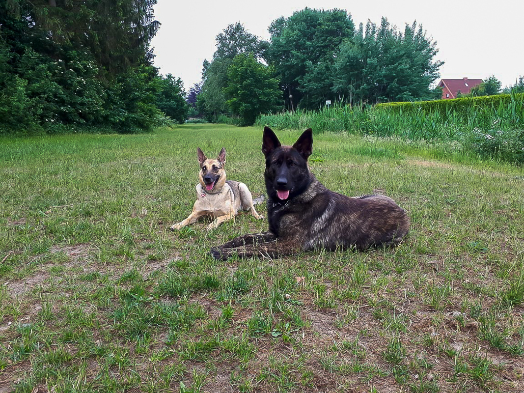 Xenia und Argos