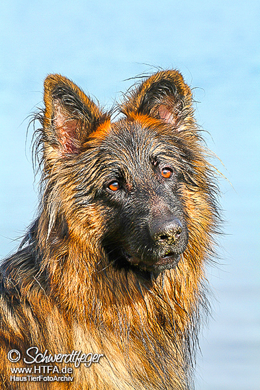 Barney Fotoshooting