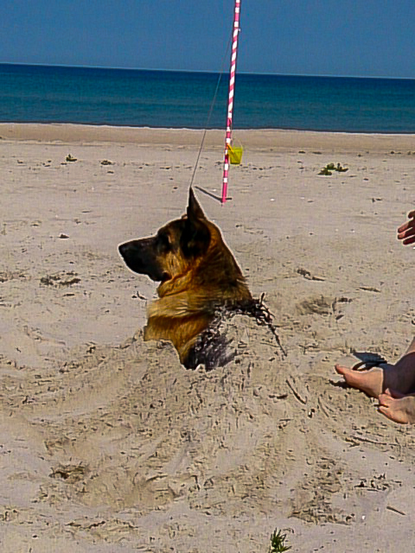 Erster Ostseeurlaub für Mexx