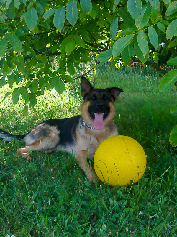 mein Lieblingsball