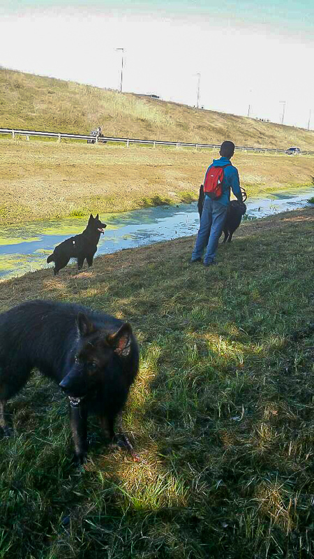 Ludwig und Lotte und Roopa