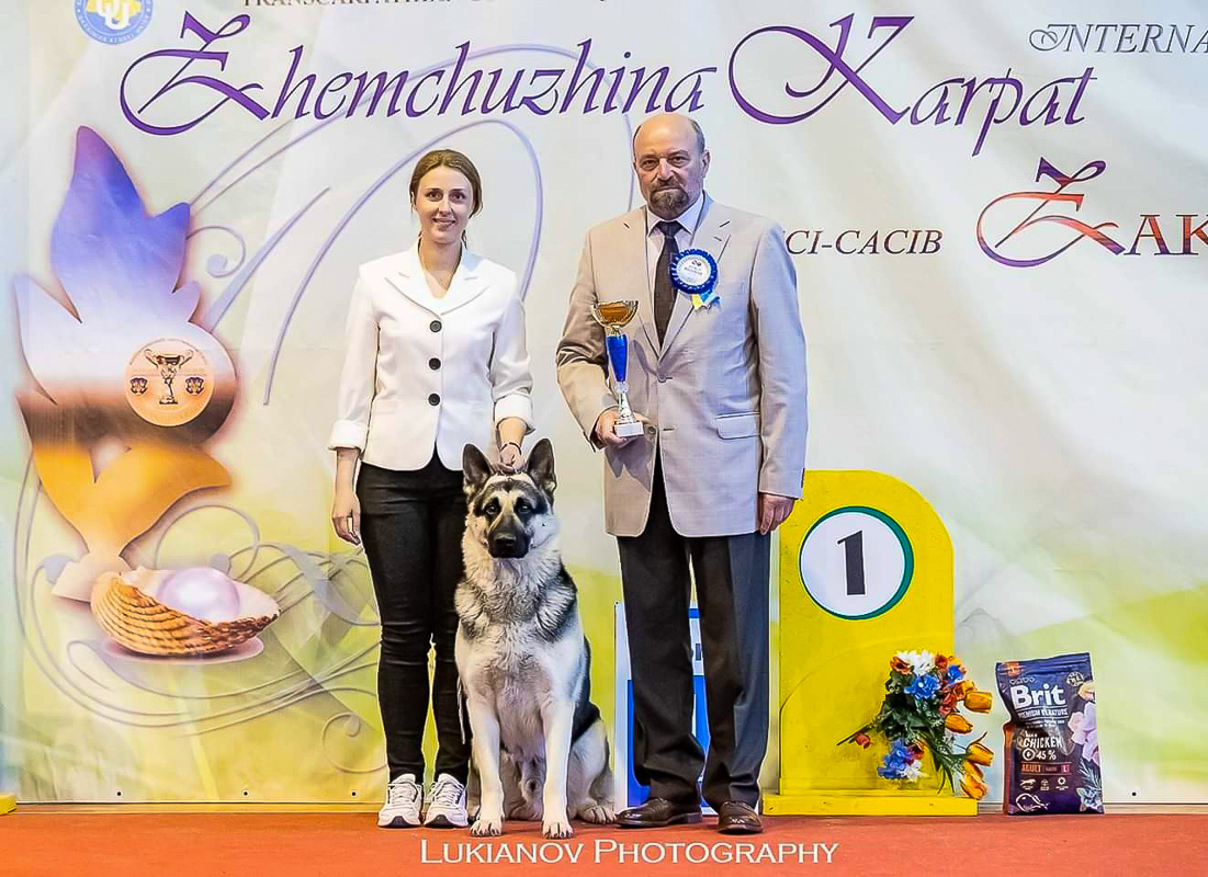 ALEANT Kai Hundeausstellung FCI CACIB Uzhgorod (Ukraine) 26-27.04.19