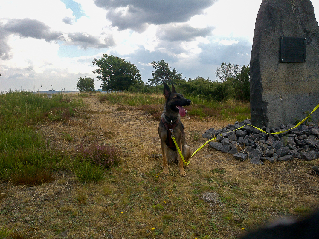 Lexy auf dem Wacholderweg