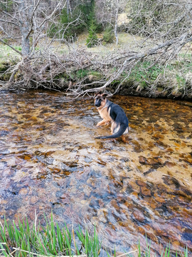 Wasser