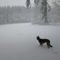 Sonntagsspaziergang