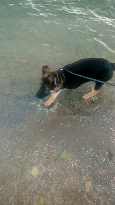 1. Mal Wasser außerhalb der Dusche