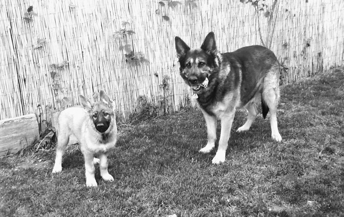 Aiko und Dina