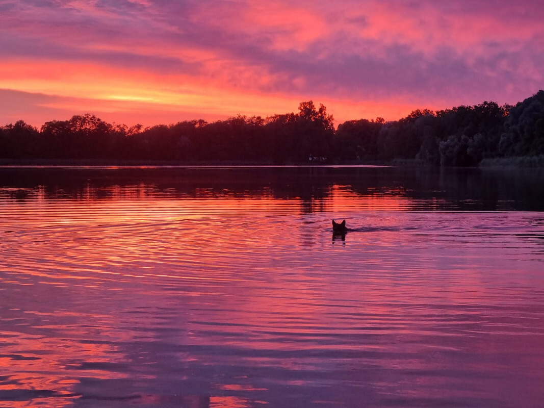 Nika: Abendrunde an "unserem" See