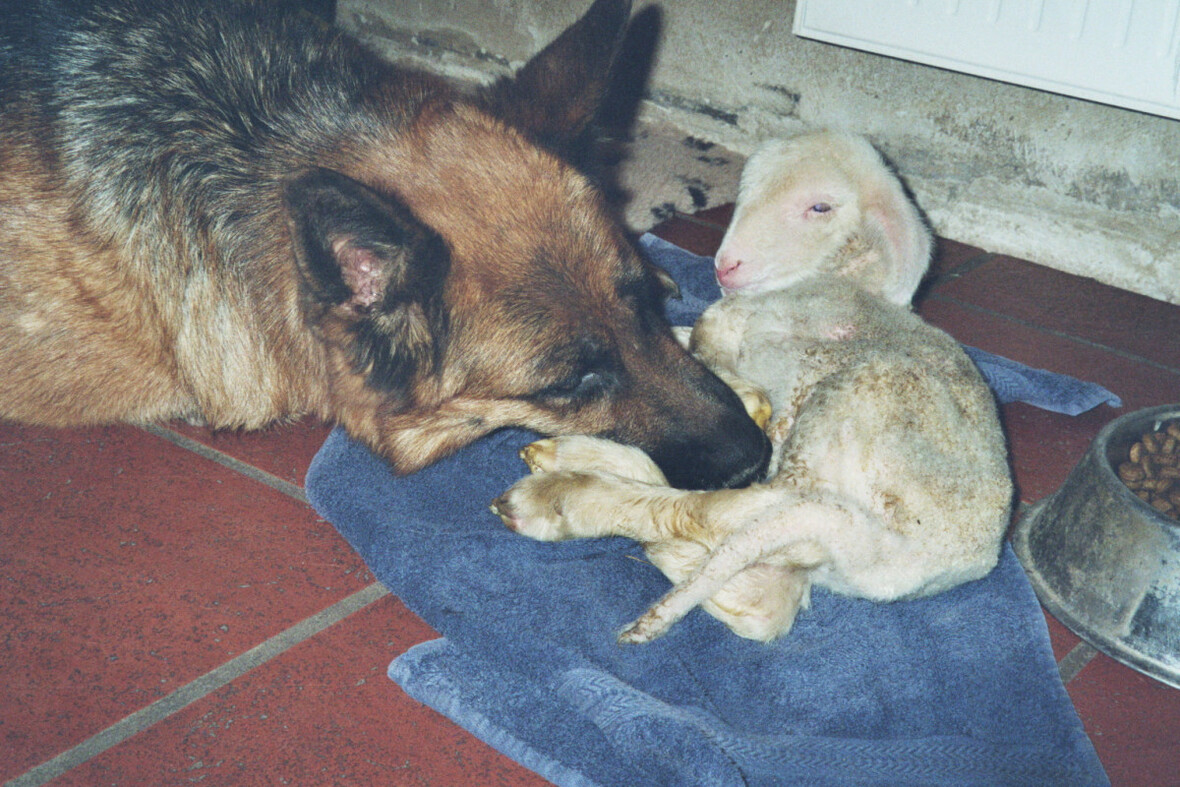 Gundi und ihr Flaschenkind