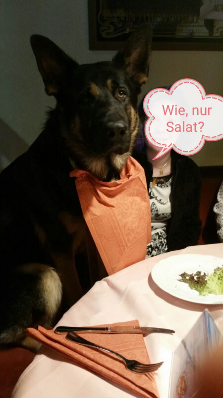 Wie, nur Salat?