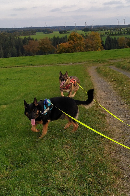 Basko und Dina