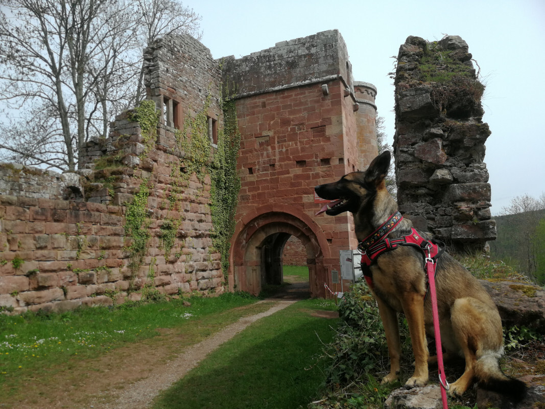 Lexy - Burg Wildenberg