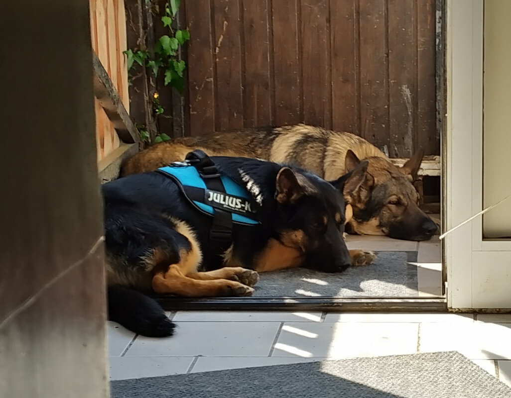 Basko & Dina