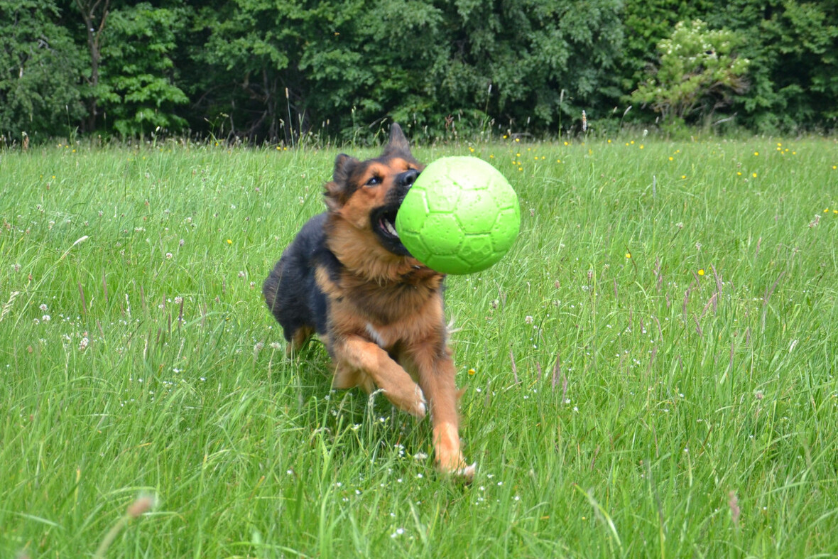 Tilli mit Ball