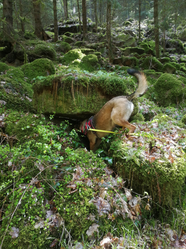 Lexy beim Hobby Geocachen und Klettern