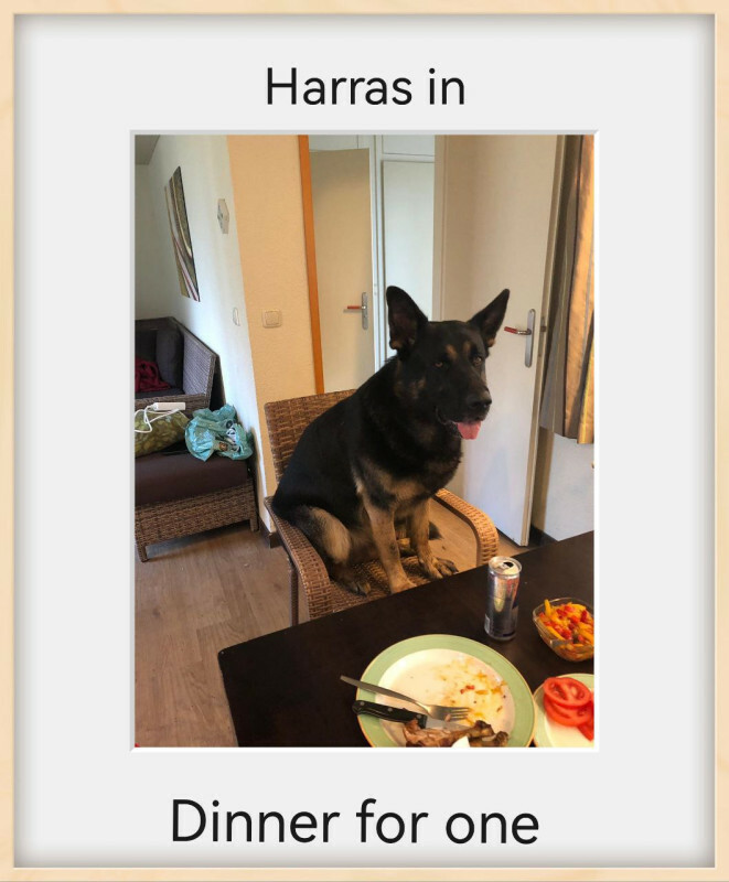 Harras in Dinner for one