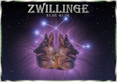 Attila, Zwillinge