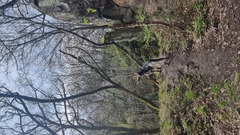 Arwa im Wald