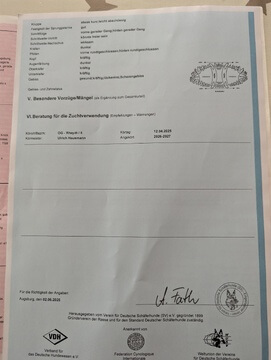 1000237215.jpg