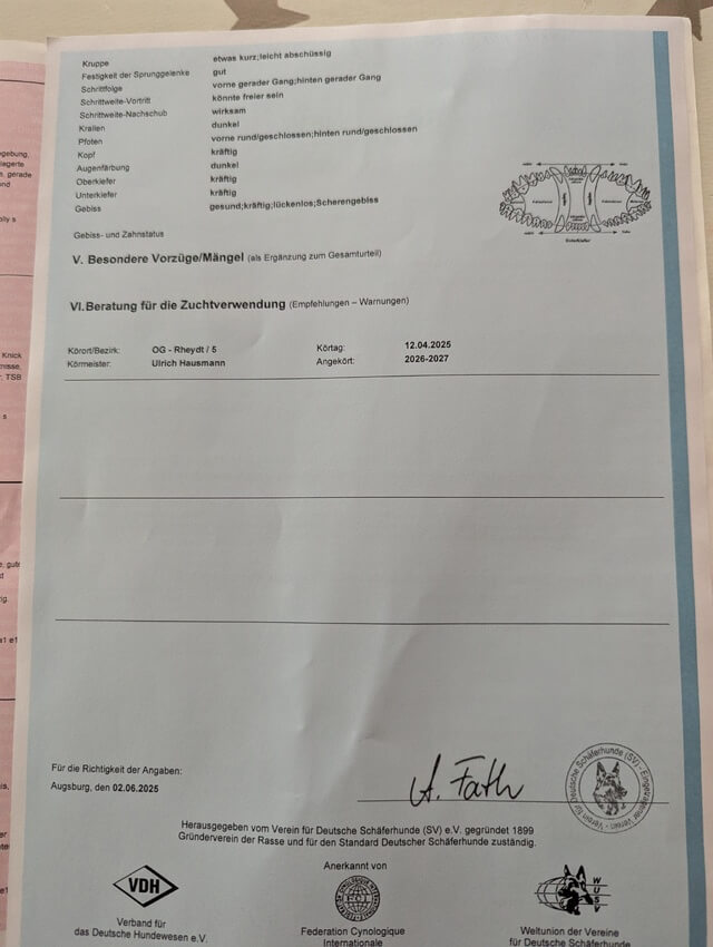 1000237215.jpg