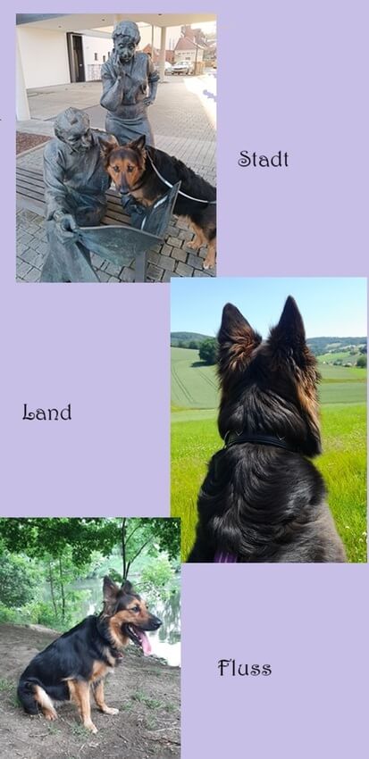 Tilli - Stadt, Land, Fluss