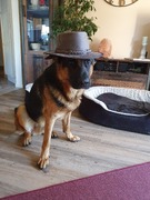 Sam