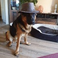 Sam