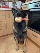 Axels Hotdog