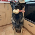 Axels Hotdog