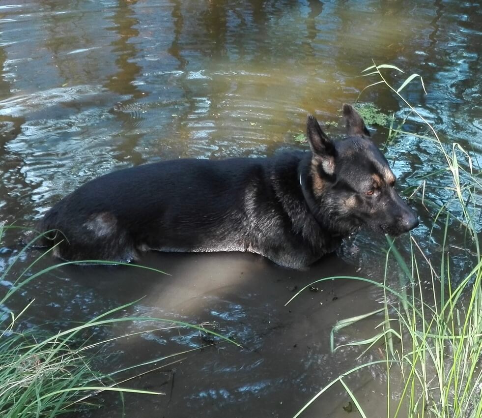 Harras - Wasserspiel im Schatten
