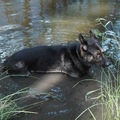 Harras - Wasserspiel im Schatten