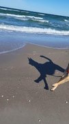 Quintos Schatten