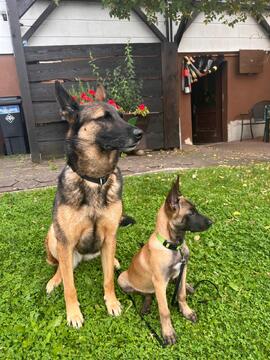 Lexy`s Schatten