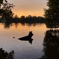 Jerry- Abendsonne und Schatten am See