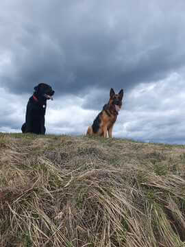 Sam & Ben