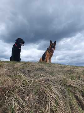 Sam & Ben
