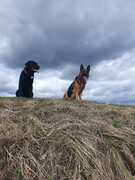 Sam & Ben