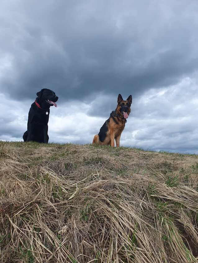 Sam & Ben