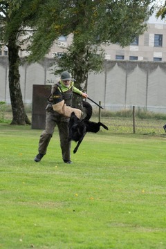 Ida igp2