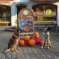 ENZO UND QUINTO HALLOWEEN