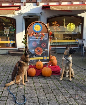 ENZO UND QUINTO HALLOWEEN