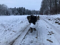 Hicks greift in die Vollen