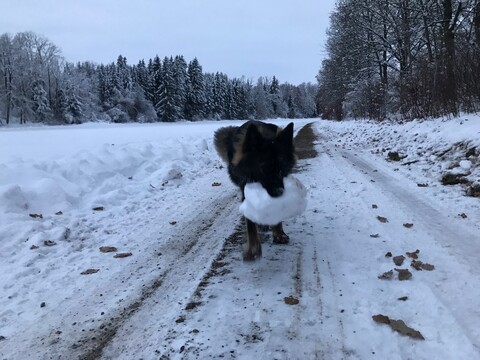 Hicks greift in die Vollen