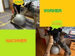 Carma und Lexy