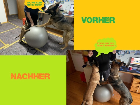 Carma und Lexy