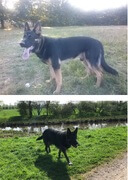 Harras: trocken und sauber & nass und dreckig