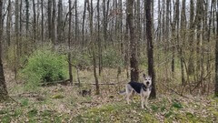 Pepper (und Arwa)