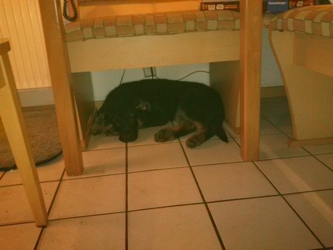 Baby-Harras unter der Eckbank