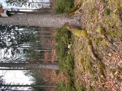 Carma & Lexy