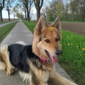 Sky mit Blümchen